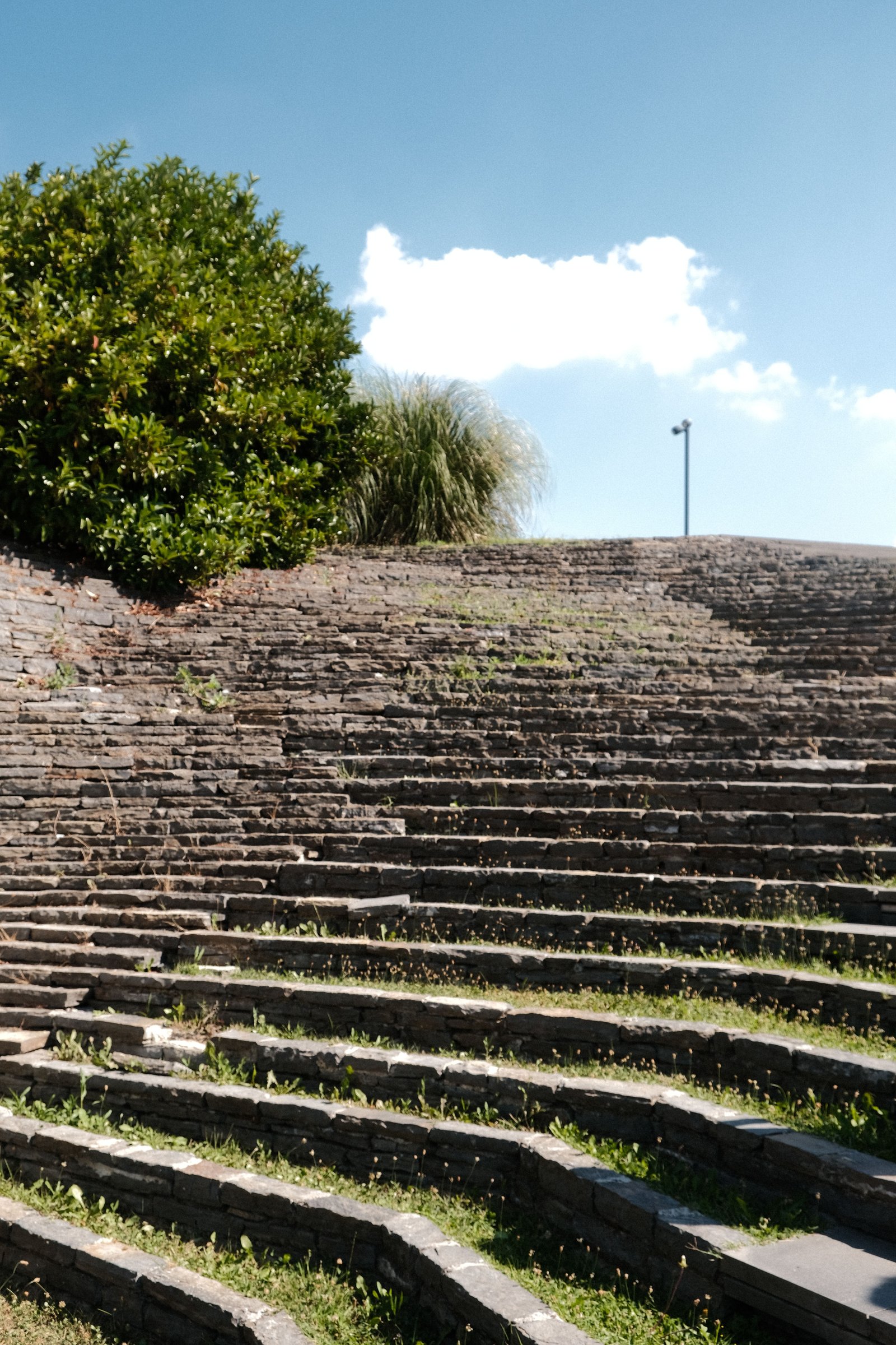 Amphitheatre at Orchid Life, Gunjur
