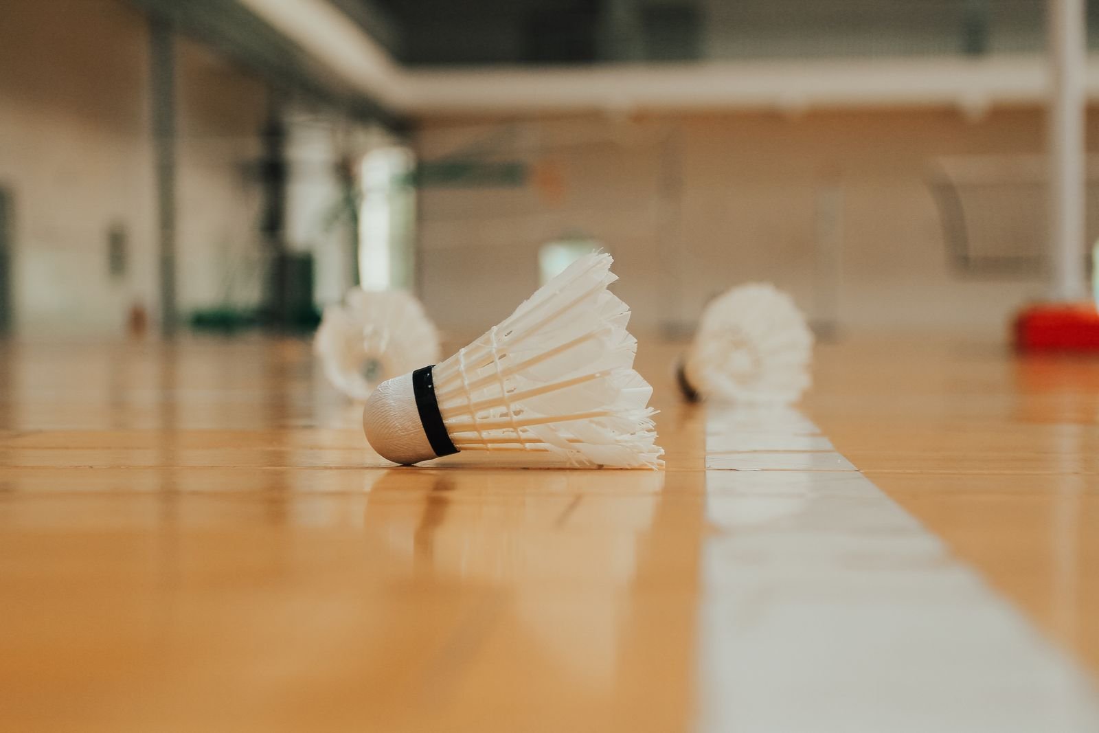 Badminton court at Orchid Life clubhouse, Gunjur